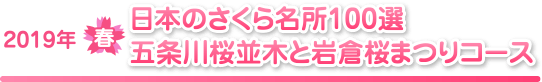 「日本のさくら名所100選 五条川桜並木と岩倉桜まつり」コース