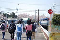 川沿いの桜が見えてきました。もうすぐ堀尾跡公園です。
