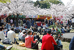 屋台も出ており、多くの人でにぎわっていました。
